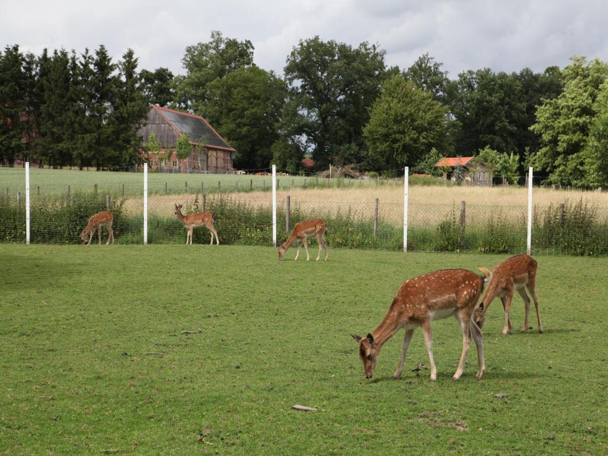 Gäste und Ferienhof Maas Dülmen Exterior foto
